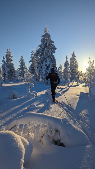 Saariselkä: Back-Country Skiing Guided Tour - Leaving Saariselkä’s groomed trails behind