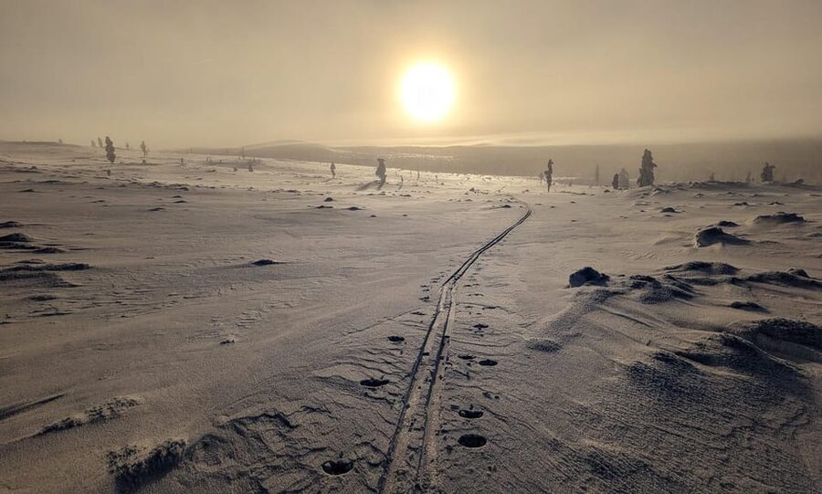 Saariselkä: Back-Country Skiing Guided Tour - Why the wide skis matter in soft snow