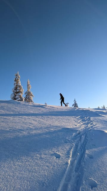 Saariselkä: Back-Country Skiing Guided Tour - Practical booking advice for winter conditions