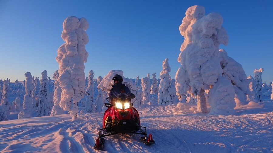 Saariselkä: Evening Snowmobile Tour with Fire & picnic - Riding through forests, swamps, and hills