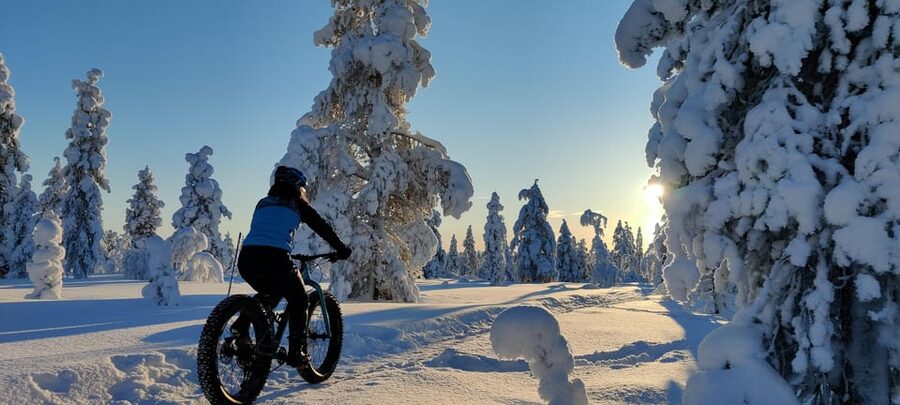 Saariselkä: Guided Fatbike Tour - What the bike feels like on winter trails