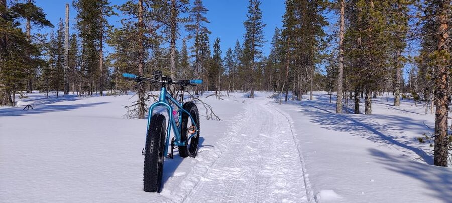 Saariselkä: Guided Fatbike Tour - The two-hour option versus four hours