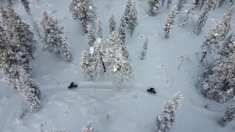 Saariselkä: Guided Fatbike Tour - Choosing forest trails or the fells