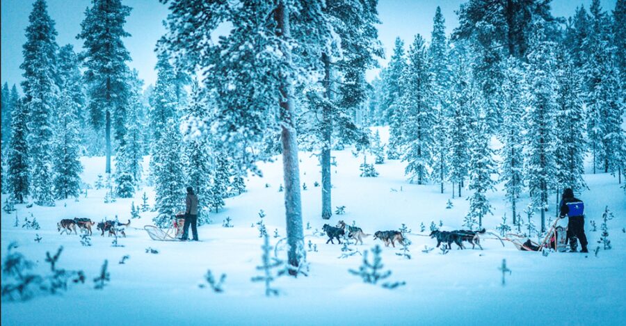 Saariselkä: Husky Safari with Aurora Borealis Hunt - What the evening feels like