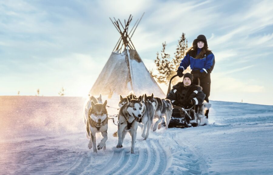 Saariselkä: Husky Safari with Aurora Borealis Hunt - Meeting the huskies at the Wilderness Center