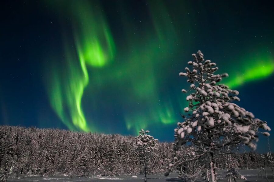 Saariselkä: Northern Lights Hunting Snowshoe Trip - The quiet heart of the route