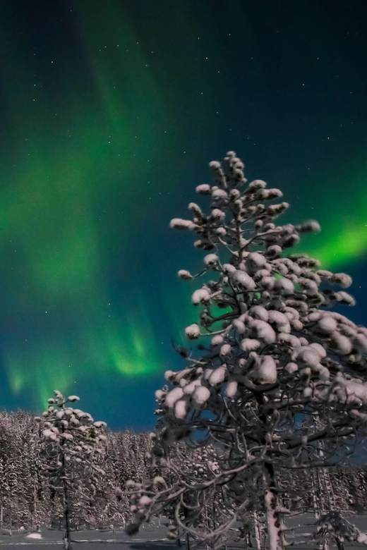 Saariselkä: Northern Lights Hunting Snowshoe Trip - A hot chocolate pause in the middle of nowhere