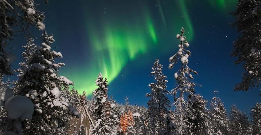 Saariselkä: Northern Lights Hunting Snowshoe Trip - Who will enjoy this snowshoe trip most