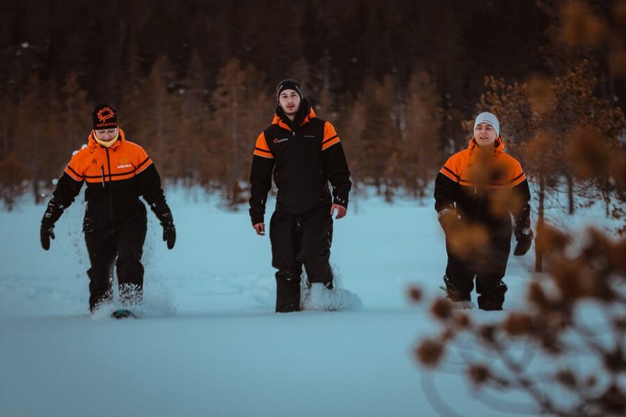 Saariselkä: Northern Lights Hunting Snowshoe Trip - Booking details that matter