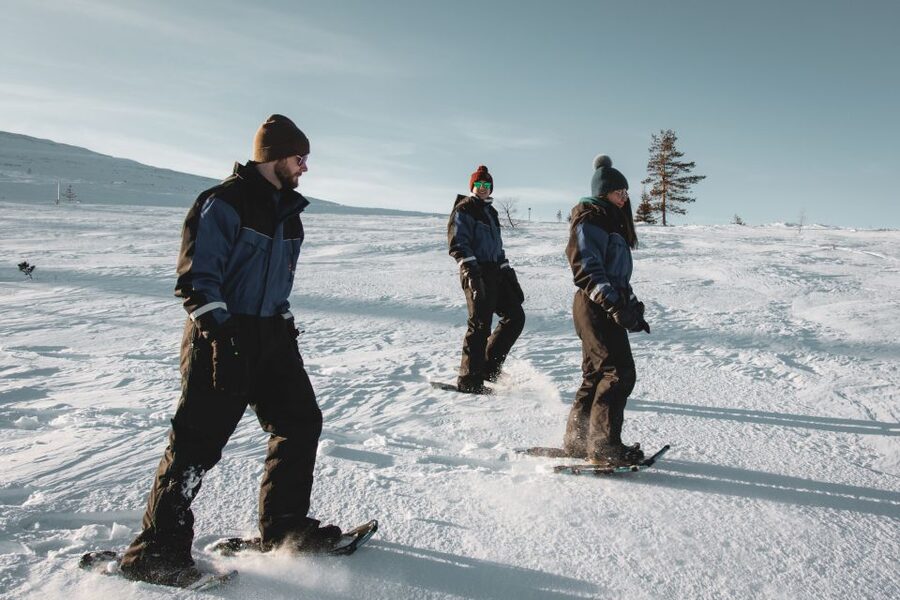 Saariselkä: Scenic Snowshoe Safari - Learning about Lappish nature and winter skills
