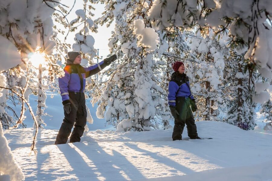 Saariselkä: Scenic Snowshoe Safari - Should you book the Saariselkä snowshoe safari?