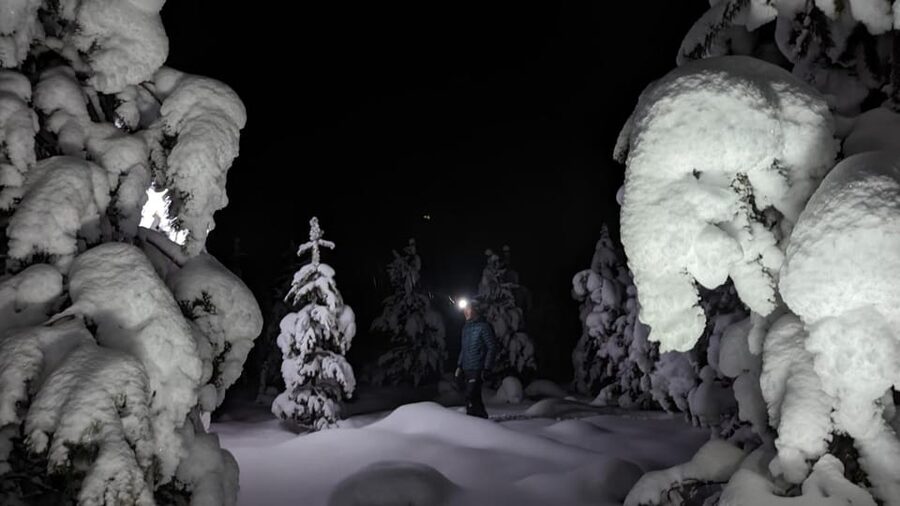 Saariselkä: Snowshoeing Tour in Urho Kekkonen National Park - Choosing between two, four, and evening hours