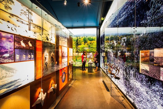 Sámi Village Inari and Siida Museum by Car - Key points before you book