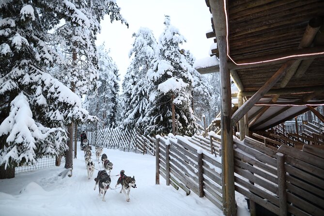 Santa Claus Village, Husky and Reindeers Combo Safari - What this four-hour Rovaniemi tour really includes