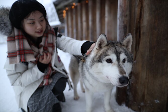 Santa Claus Village, Husky and Reindeers Combo Safari - Who will enjoy this experience most?