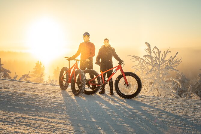 Scenic electric fat bike group ride in Rovaniemi - Key points at a glance