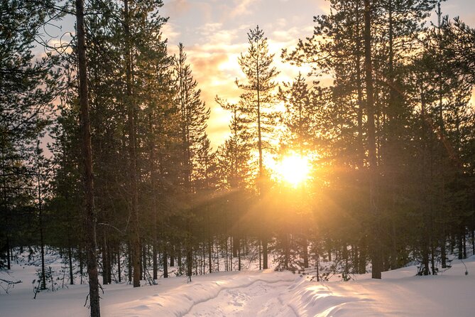 Scenic electric fat bike group ride in Rovaniemi - The descent brings the most fun