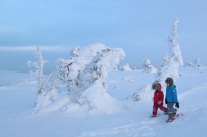 Scenic Snowshoeing on the Top of Pyhä Fell - Snow monsters, frosty trees, and winter photography