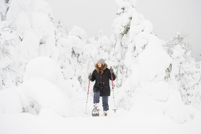 Scenic Snowshoeing on the Top of Pyhä Fell - Stories about Arctic nature and old Lappish beliefs