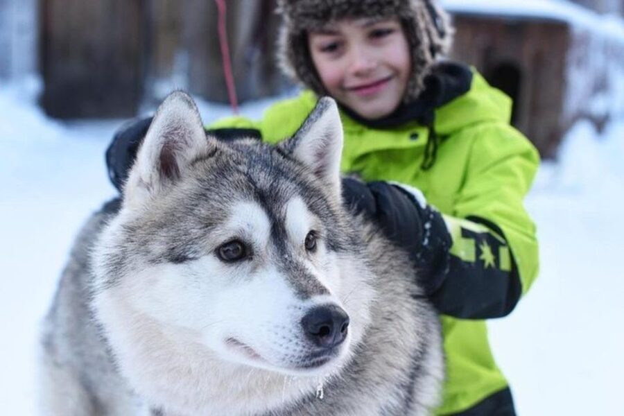 Sirkka: Husky Sled Ride in Levi 2km or 5 km from Levi - A warm drink by the fire
