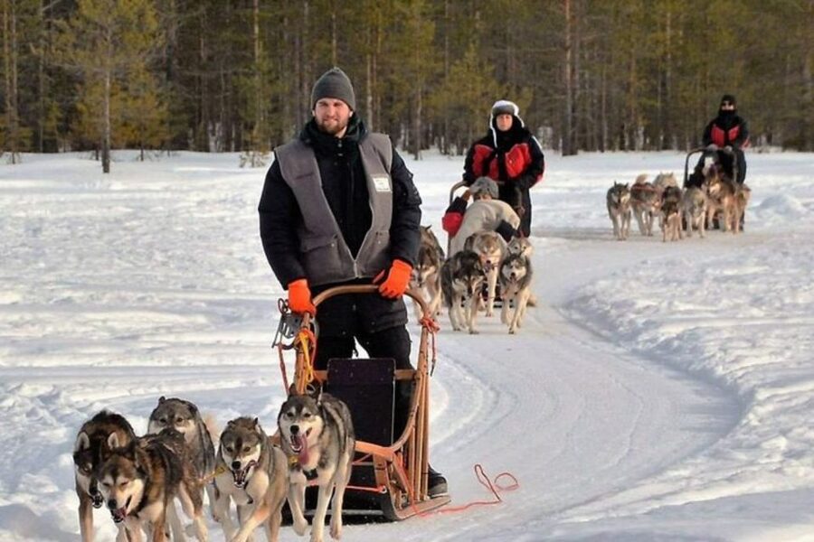 Sirkka: Husky Sled Ride in Levi 2km or 5 km from Levi - Practical advice before you book