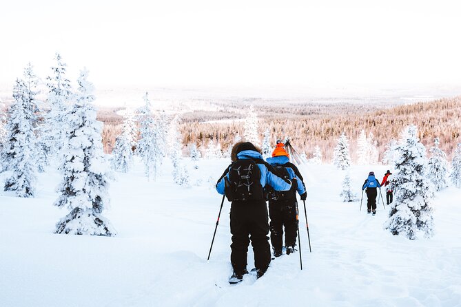 Ski Trekking Safari in Lapland - How private is the experience?