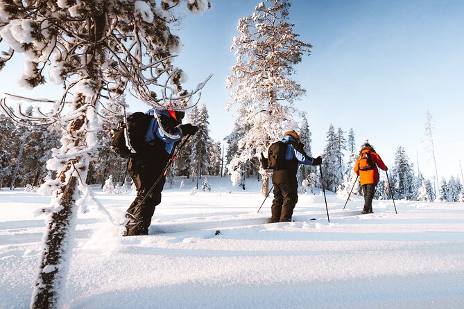 Ski Trekking Safari in Lapland - Weather, ice, and safety