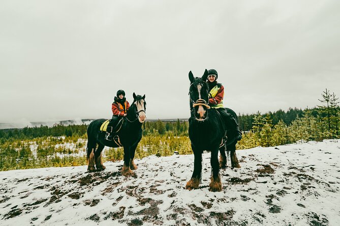 Small-Group Arctic Circle Horse Riding from Rovaniemi - Rider limits, children, and comfort