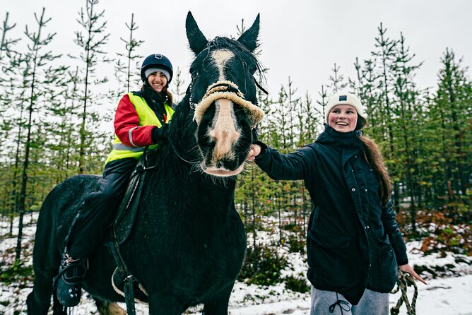 Small-Group Arctic Circle Horse Riding from Rovaniemi - Booking timing and cancellation rules