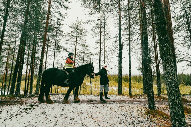Small-Group Arctic Circle Horse Riding from Rovaniemi - Who will enjoy this horse ride most?