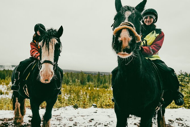 Small-Group Arctic Circle Horse Riding from Rovaniemi - A small group makes the experience easier