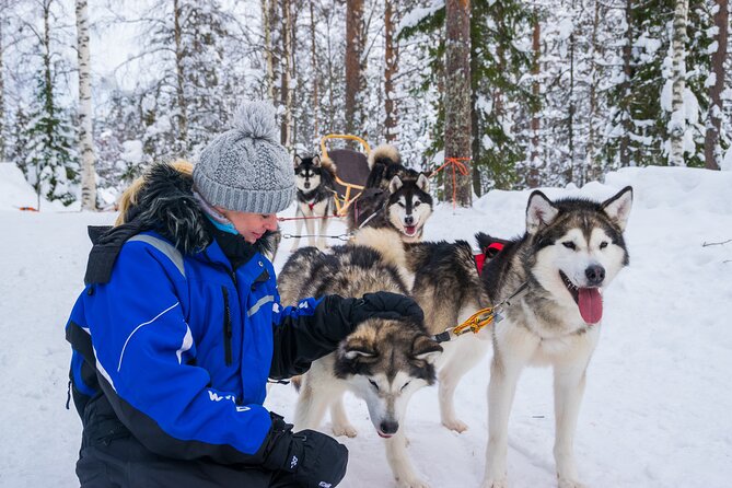 Small-Group Husky Mushing Experience in Rovaniemi - Meeting the Huskies at Parpalandia