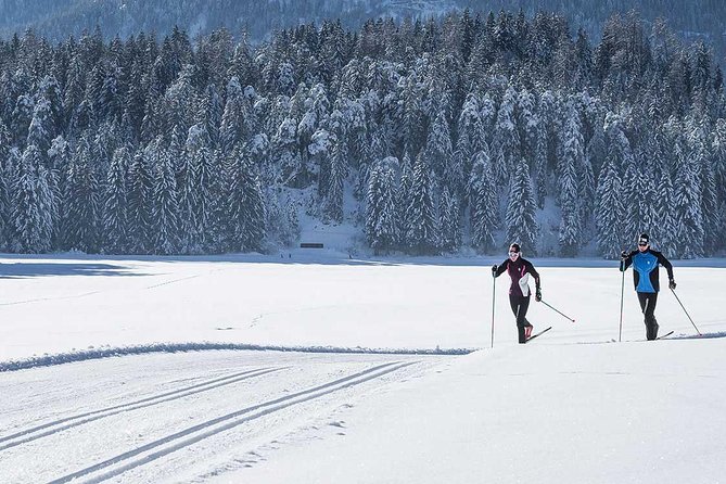 Small-Group Lapland Cross Country Ski - Why cross-country skiing fits Rovaniemi