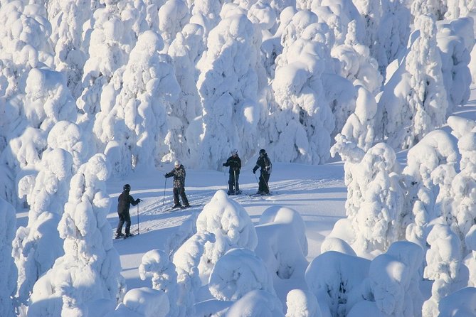 Small-Group Lapland Cross Country Ski - How much value do you get for $207.21?