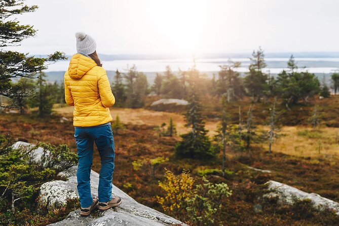 Small-Group Moose Wild Safari from Rovaniemi - Why Sunset Is the Right Time to Go