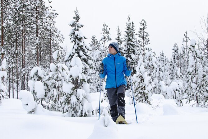 Small-Group Snowshoeing Adventure In Lapland - Leaving Rovaniemi for the snowy forest