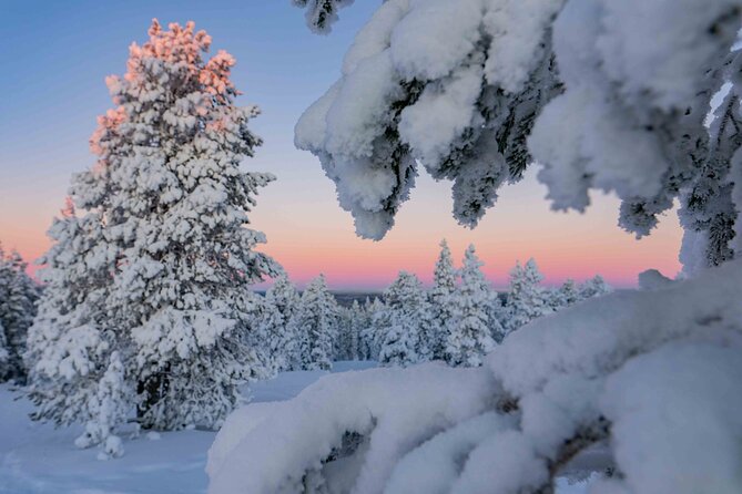 Small-Group Snowshoeing Adventure In Lapland - Arctic nature beyond the cleared paths