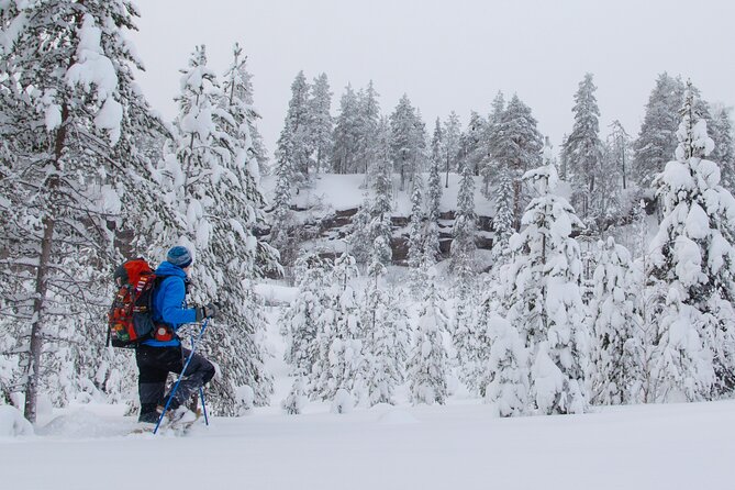 Small-Group Snowshoeing Adventure In Lapland - Snowshoeing and the northern lights