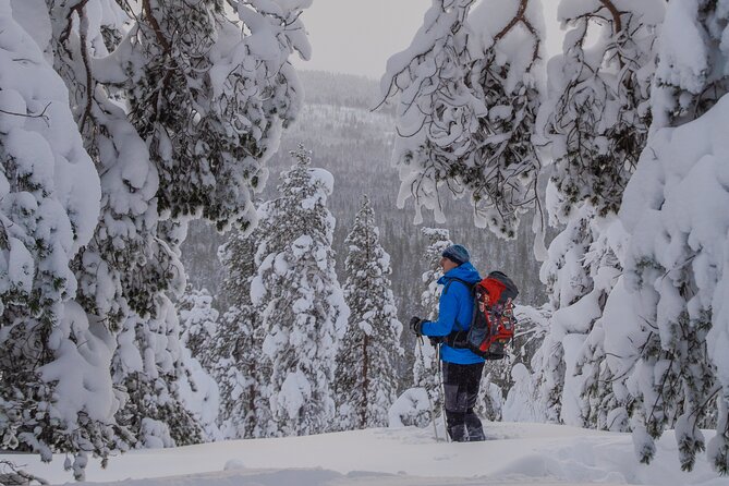 Small-Group Snowshoeing Adventure In Lapland - What the $104 price includes