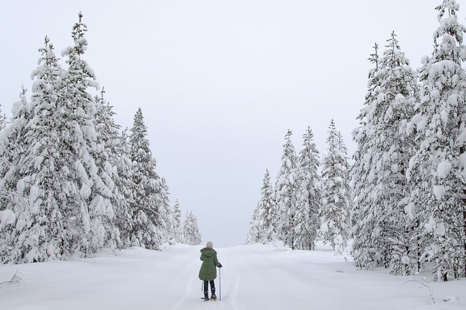 Small-Group Snowshoeing Adventure In Lapland - What to wear and bring
