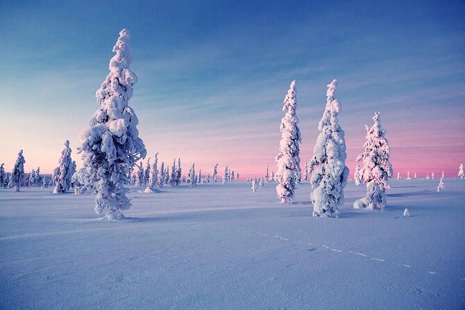 Snowmobile and Ice Fishing Experience - Salmon, Sausages, and Fire-Side Warmth
