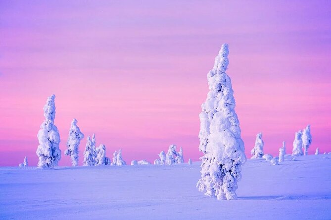 Snowmobile and Ice Fishing Experience - Children and Family Suitability