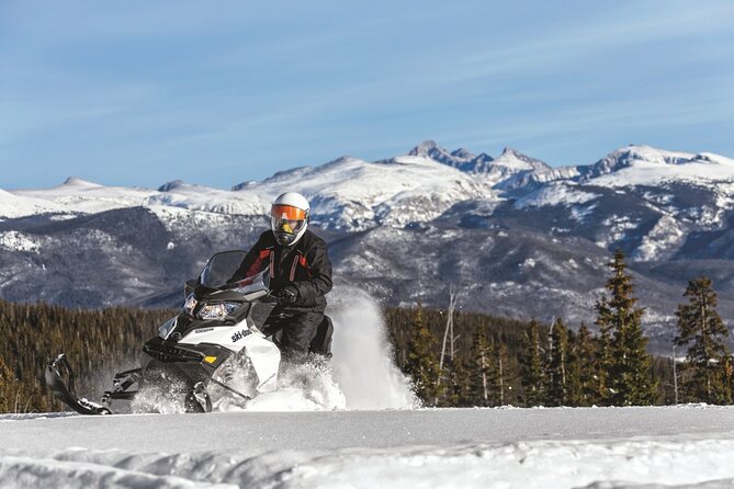 Snowmobile & Animals Day Tour - Three Lapland classics in half a day