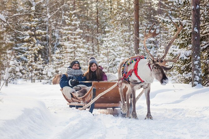 Snowmobile & Animals Day Tour - Snowmobiling is the strongest part of the day