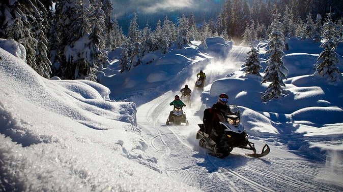 Snowmobile & Animals Day Tour - Huskies first: fast, friendly, and short