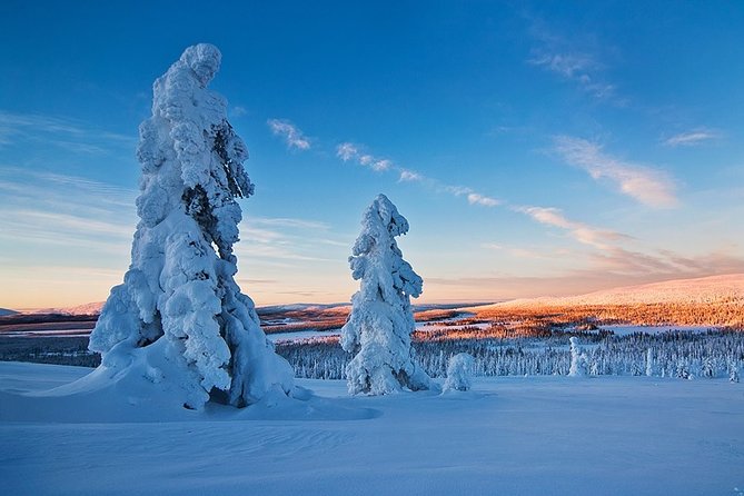 Snowmobile Driving - Morning start - Snowy forests and tracks beyond ordinary roads