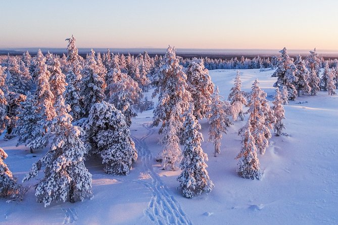 Snowmobile Driving - Morning start - Who will enjoy this morning in Rovaniemi