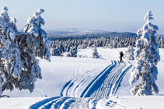 Snowmobile Safari in the Forest - From Kemi to Kätkävaara Mountain