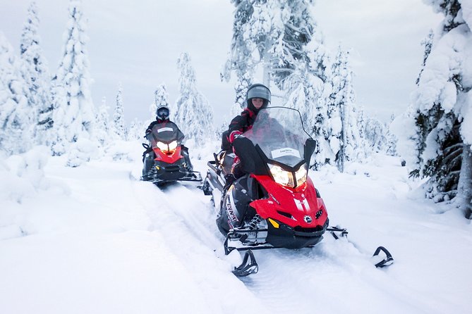 Snowmobile Safari in the Forest - Practical Details Before You Book