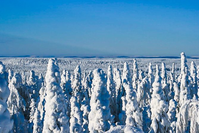 Snowmobile Safari in the Nature - The value of thermal gear and transport